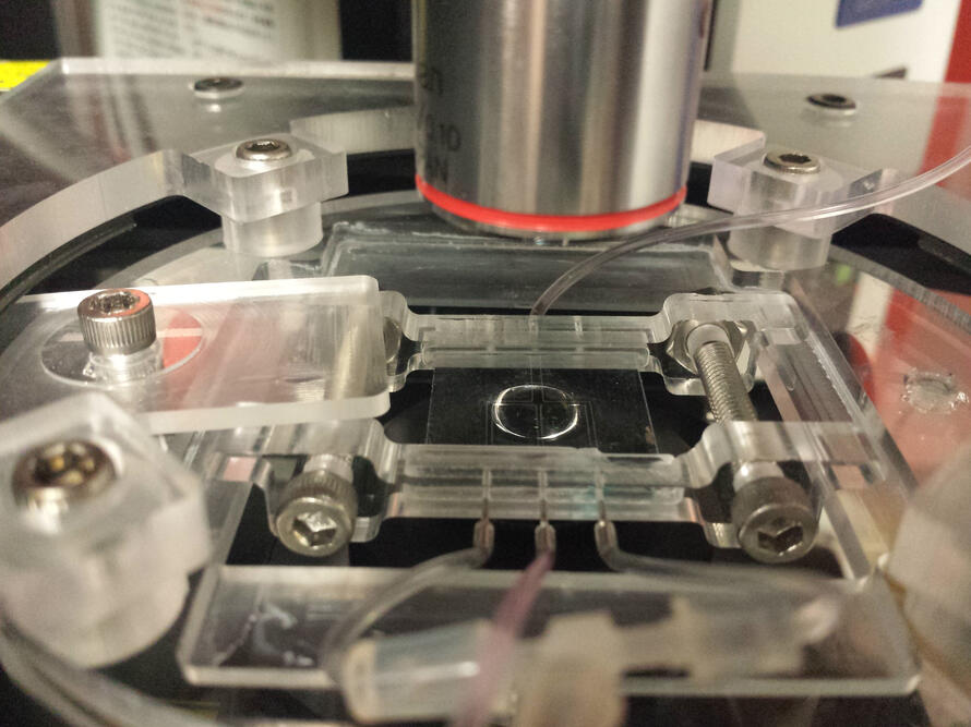 Microfluidic device assembled